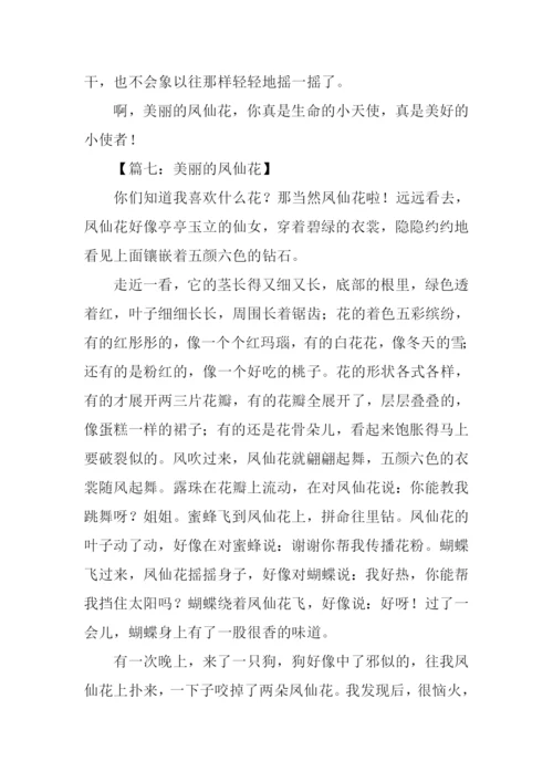 美丽的凤仙花作文400字.docx