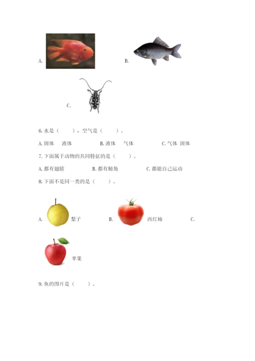 教科版一年级下册科学期末测试卷附参考答案【预热题】.docx