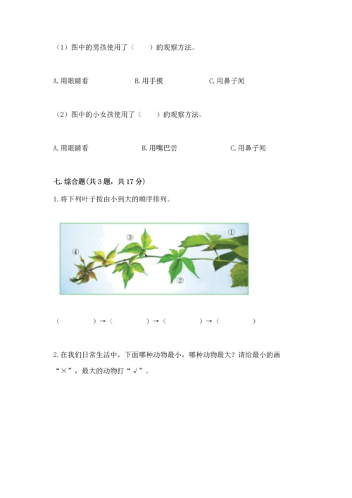 教科版一年级上册科学期末测试卷精品（含答案）.docx