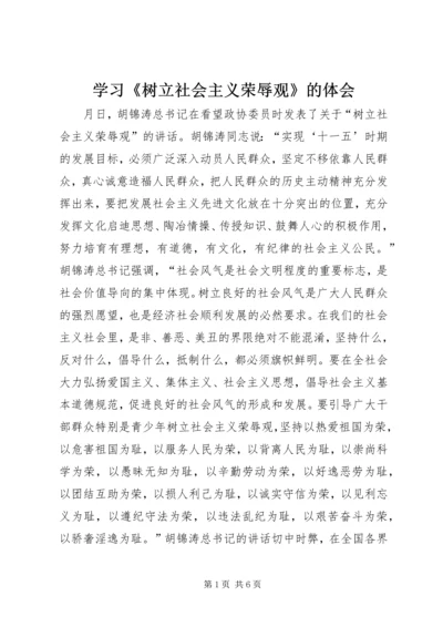 学习《树立社会主义荣辱观》的体会.docx