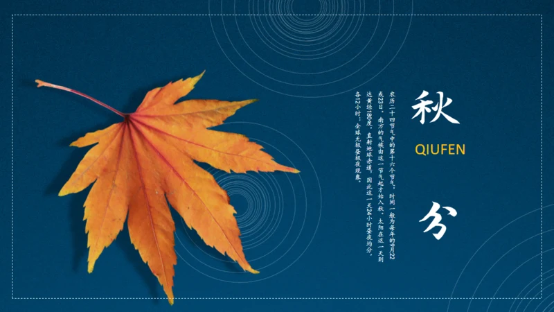 秋风节气秋季文艺风通用PPT模板