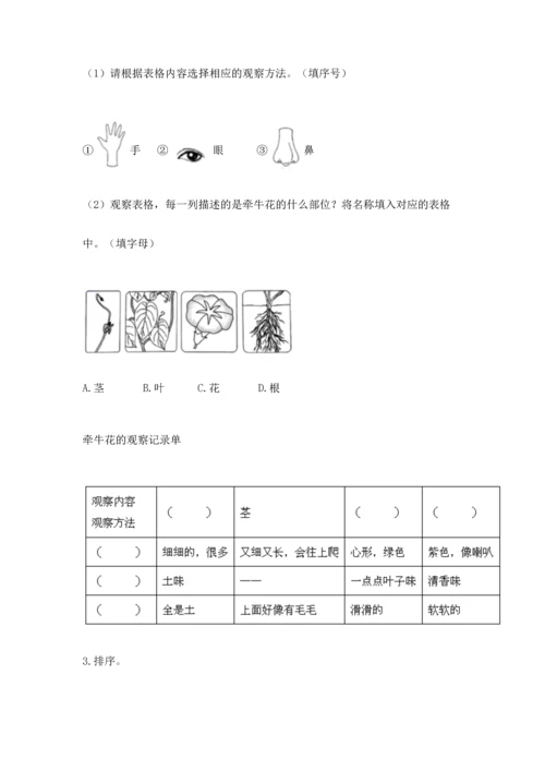 教科版科学一年级上册第一单元《植物》测试卷带答案（综合题）.docx