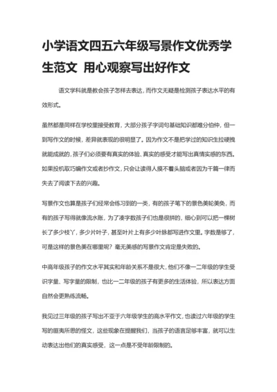 小学语文四五六年级写景作文优秀学生范文-用心观察写出好作文.docx