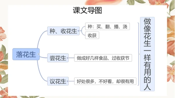 2 落花生 课件