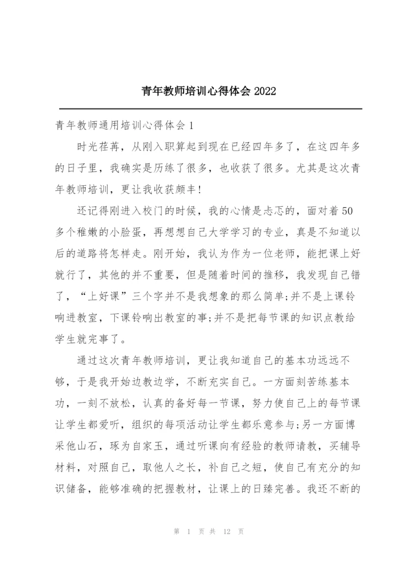 青年教师培训心得体会2022.docx