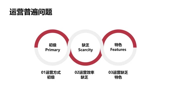 欧美简约商务风年度工作总结汇报