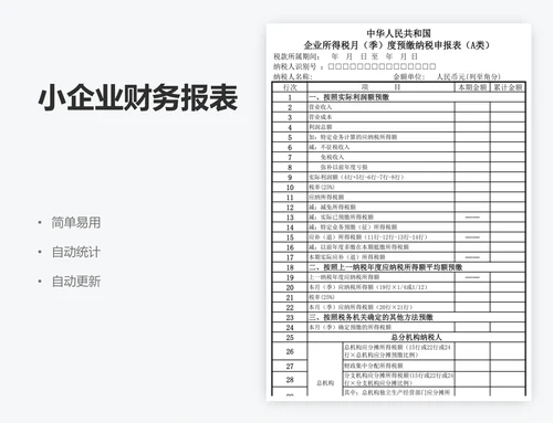 小企业财务报表