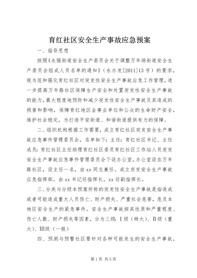 育红社区安全生产事故应急预案.docx