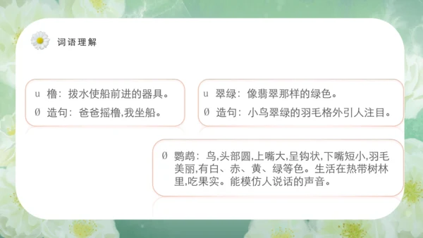 第15课《搭船的鸟》课件
