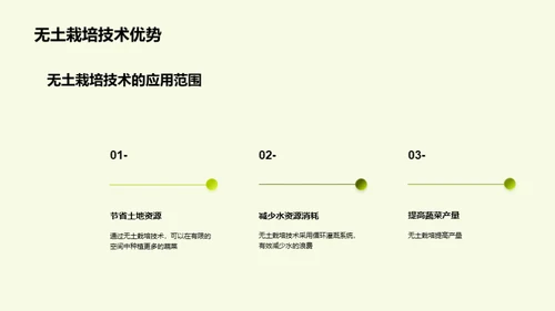 蔬菜种植新篇章