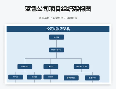 蓝色公司项目组织架构图