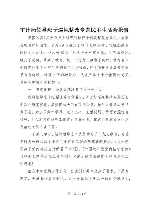 审计局领导班子巡视整改专题民主生活会报告.docx