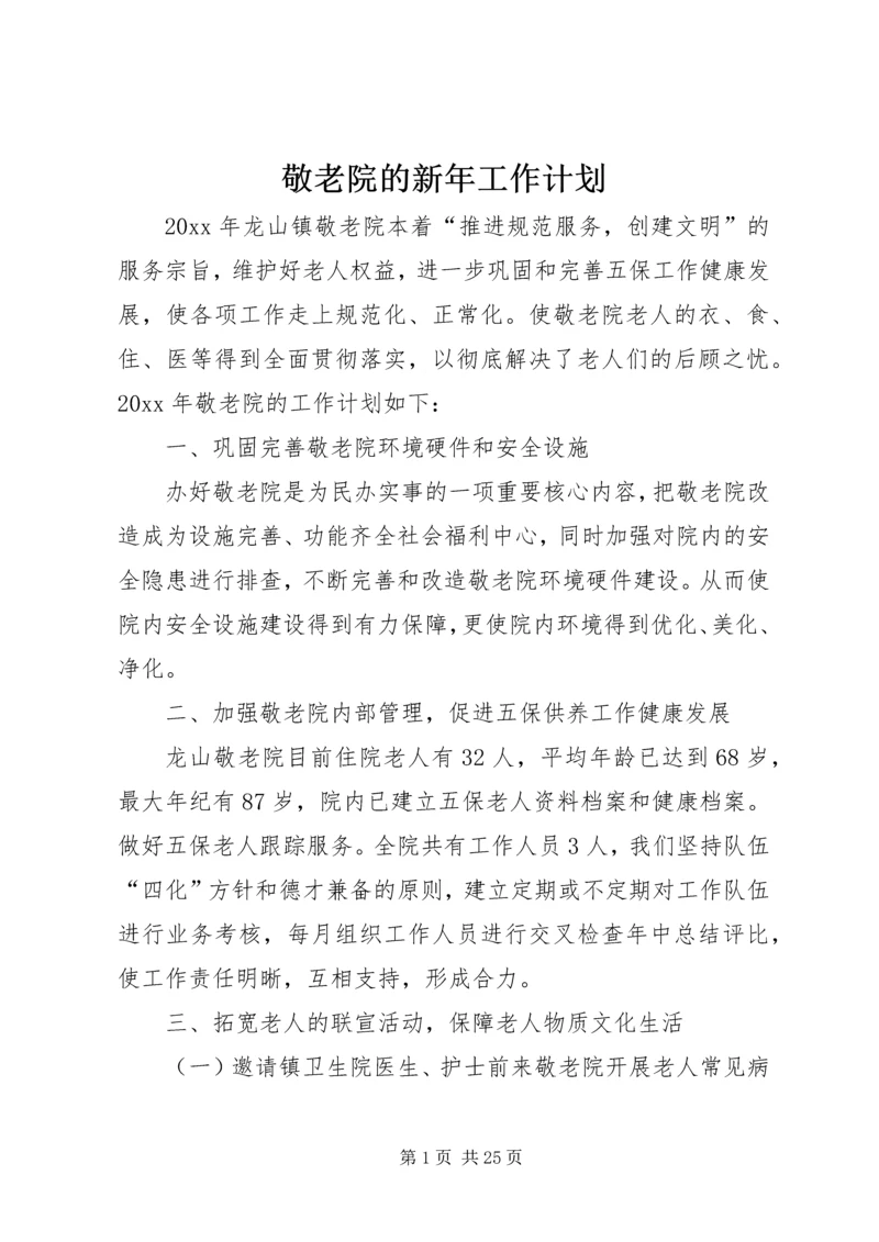 敬老院的新年工作计划.docx