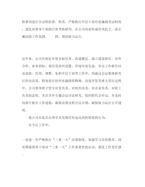 精编年公司内控制度落实情况自查报告.docx