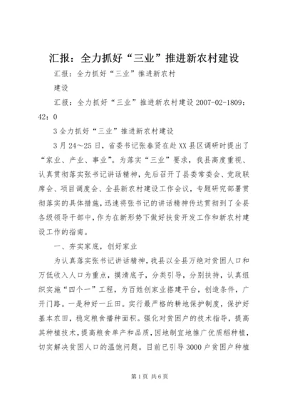 汇报：全力抓好“三业”推进新农村建设.docx