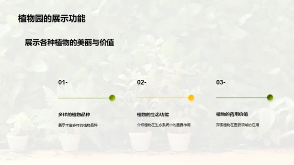 植物园：地球的绿色卫士