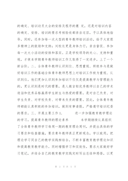 青年教师 培训工作总结.docx