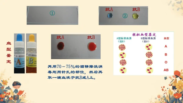 初中生物学人教版（新课程标准）七年级下册4. 4.4输血与血型课件(共21张PPT)