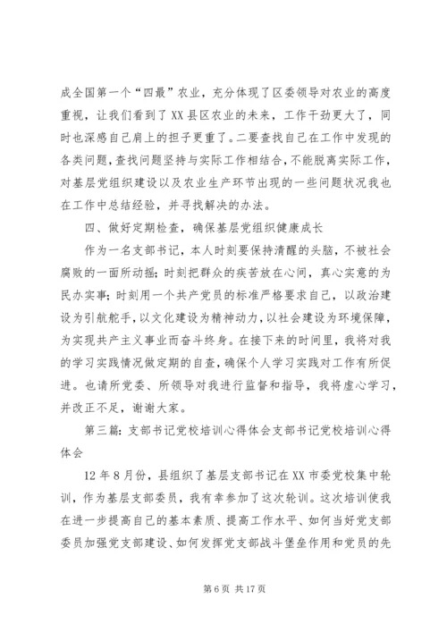 基层党组织支部书记党校培训心得体会(精选多篇).docx