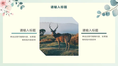 绿色淡雅PPT模板