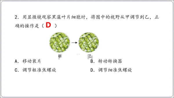 1.1&1.2 认识生物和细胞（复习课件）【2024人教新版七上生物高效完全备课】(共44张PPT)