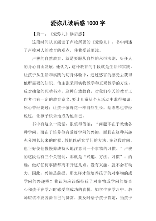 爱弥儿读后感1000字.docx