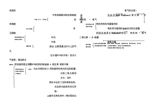 七年级生物上知识框架