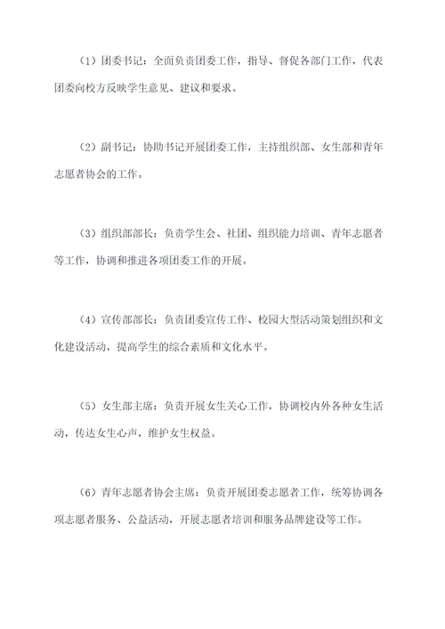 团委领导班子配备方案模板