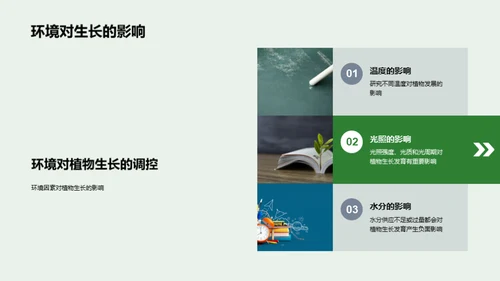 植物生长的秘密