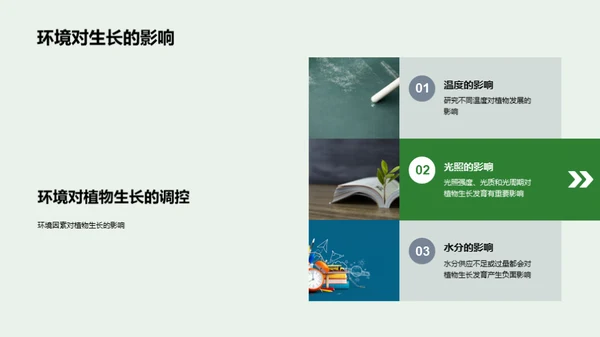 植物生长的秘密