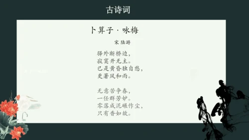 第六单元课外古诗词诵读《卜算子.咏梅》课件(共21张PPT)