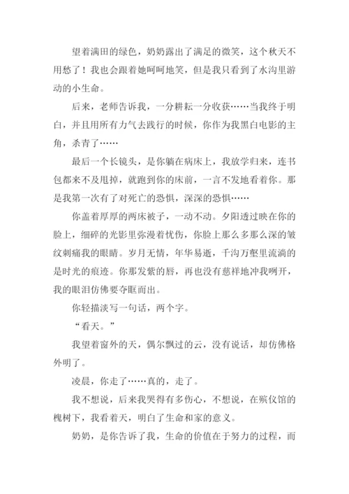 奶奶教会了我作文.docx