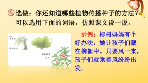 3 植物妈妈有办法  课件