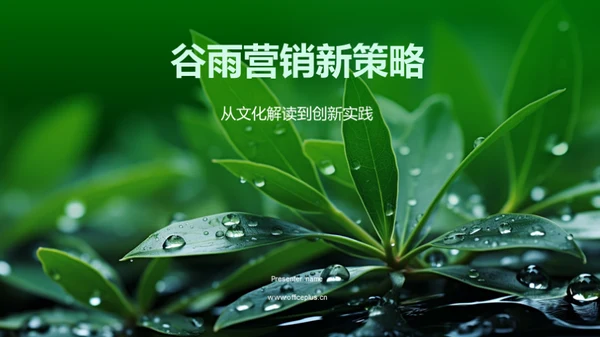 谷雨营销新策略