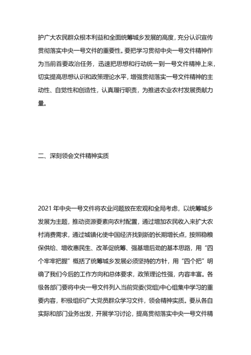 关于中央一号文件学习宣传工作计划.docx