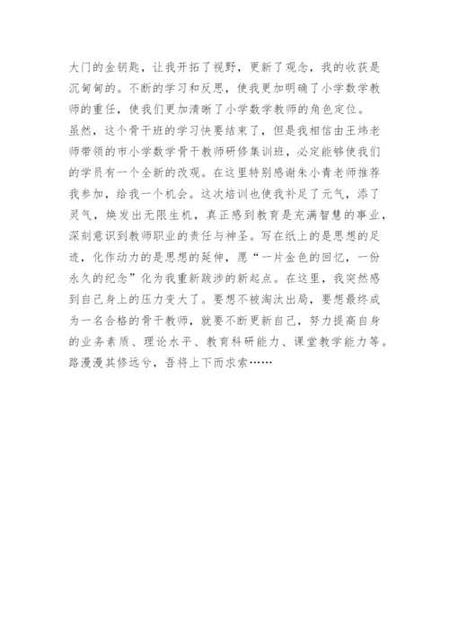 数学教师研修心得体会.docx