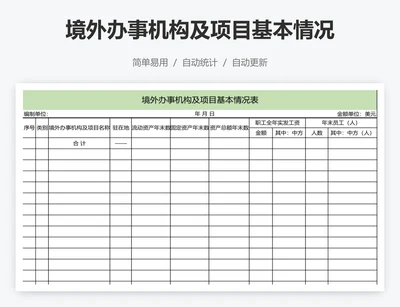 境外办事机构及项目基本情况