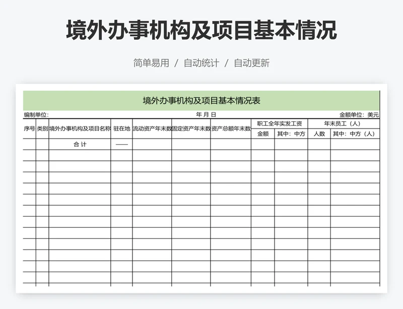 境外办事机构及项目基本情况