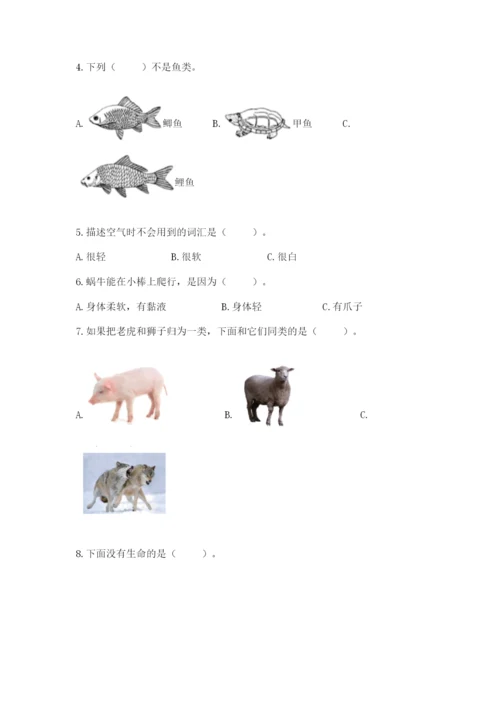 教科版一年级下册科学期末测试卷（达标题）.docx