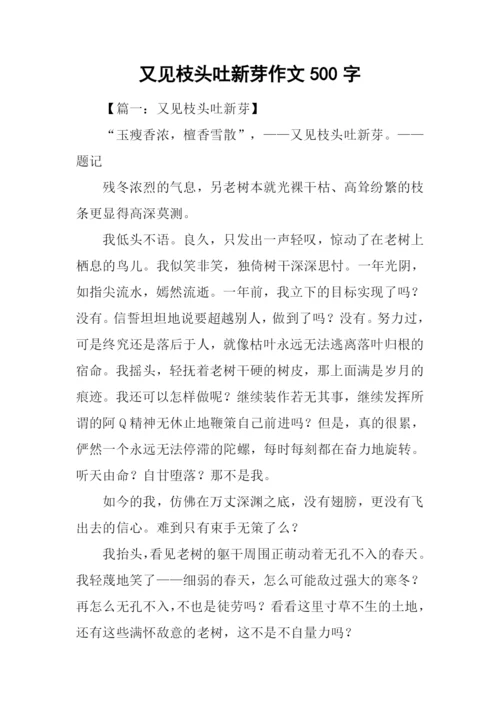又见枝头吐新芽作文500字.docx