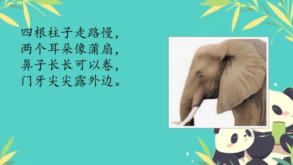 19大象的耳朵  课件