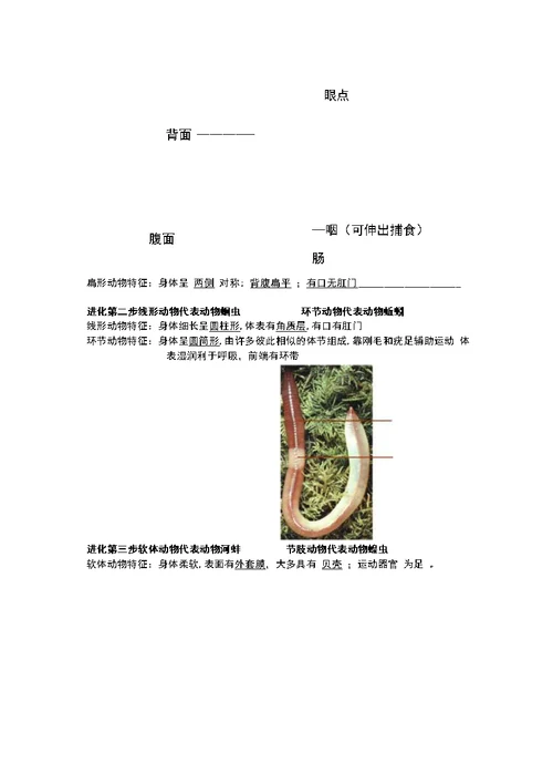 动物的主要类群复习课