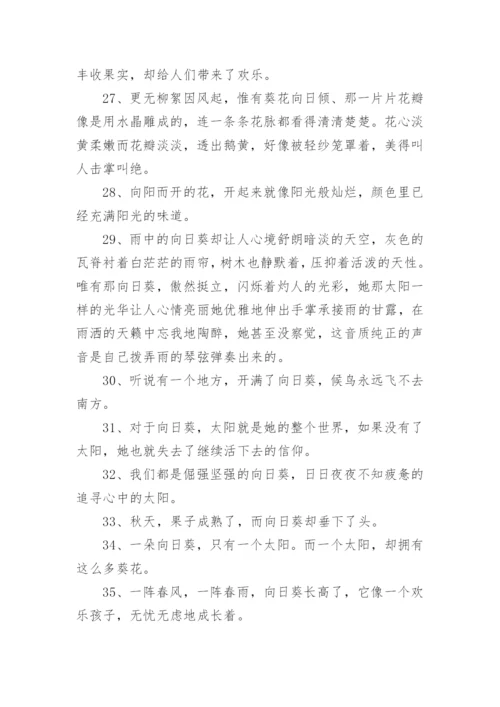 描写向日葵的句子_3.docx