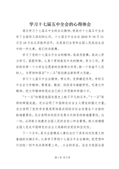 学习十七届五中全会的心得体会.docx