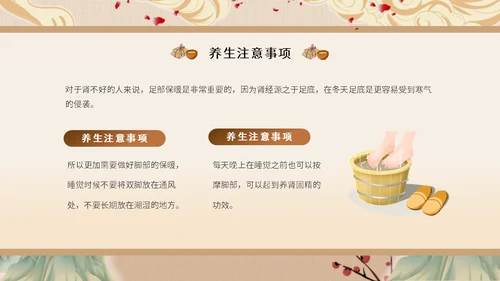 冬至中医养生冬至饮食中草药通用PPT模板