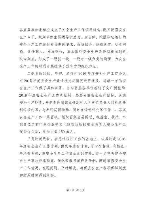文广局XX年安全生产工作总结及XX年安全工作计划.docx