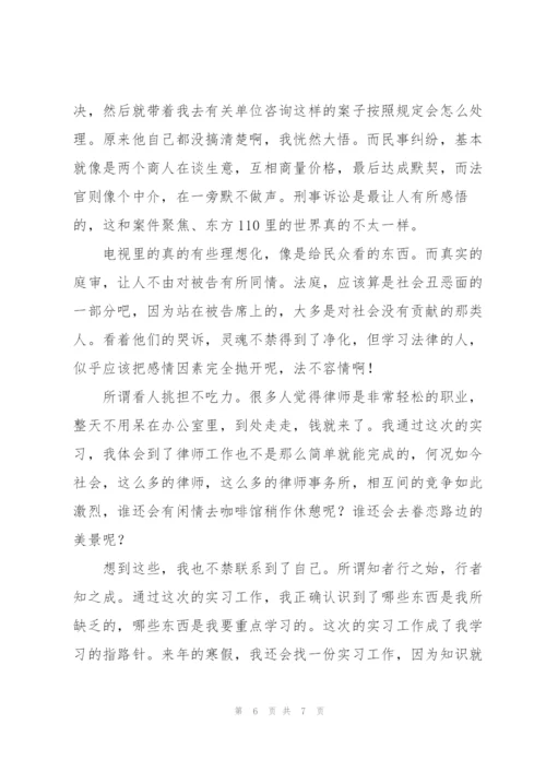 律师事务所个人实习总结范文.docx