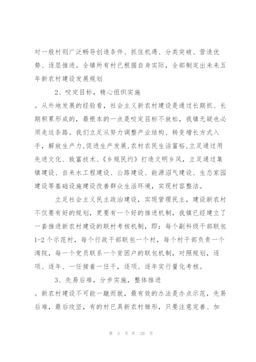 新农村建设调查报告范文.docx