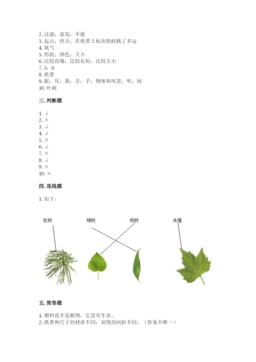 教科版一年级上册科学期末测试卷带答案ab卷.docx