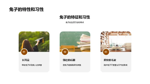 探秘动物世界